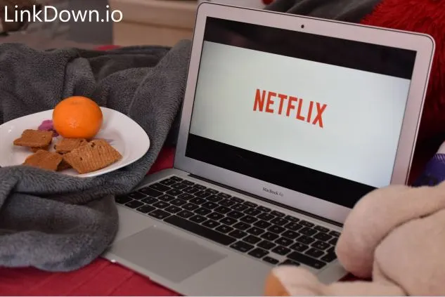 Netflix Break Recording video streaming in 2023 linkdown.io